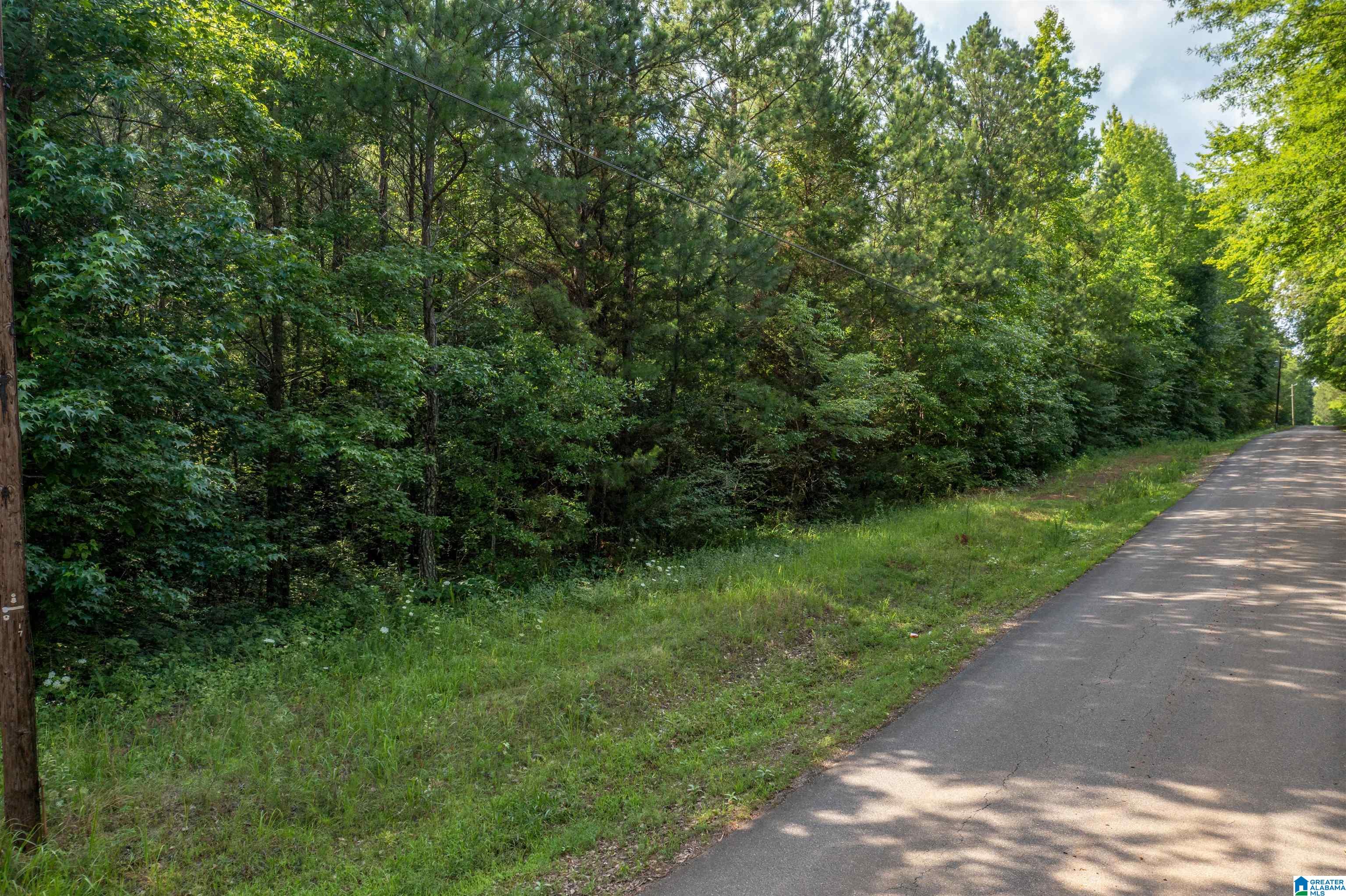 0 Earl Roberts Road, Unit 4 Anniston, AL 36207 - Photo 12 of 12