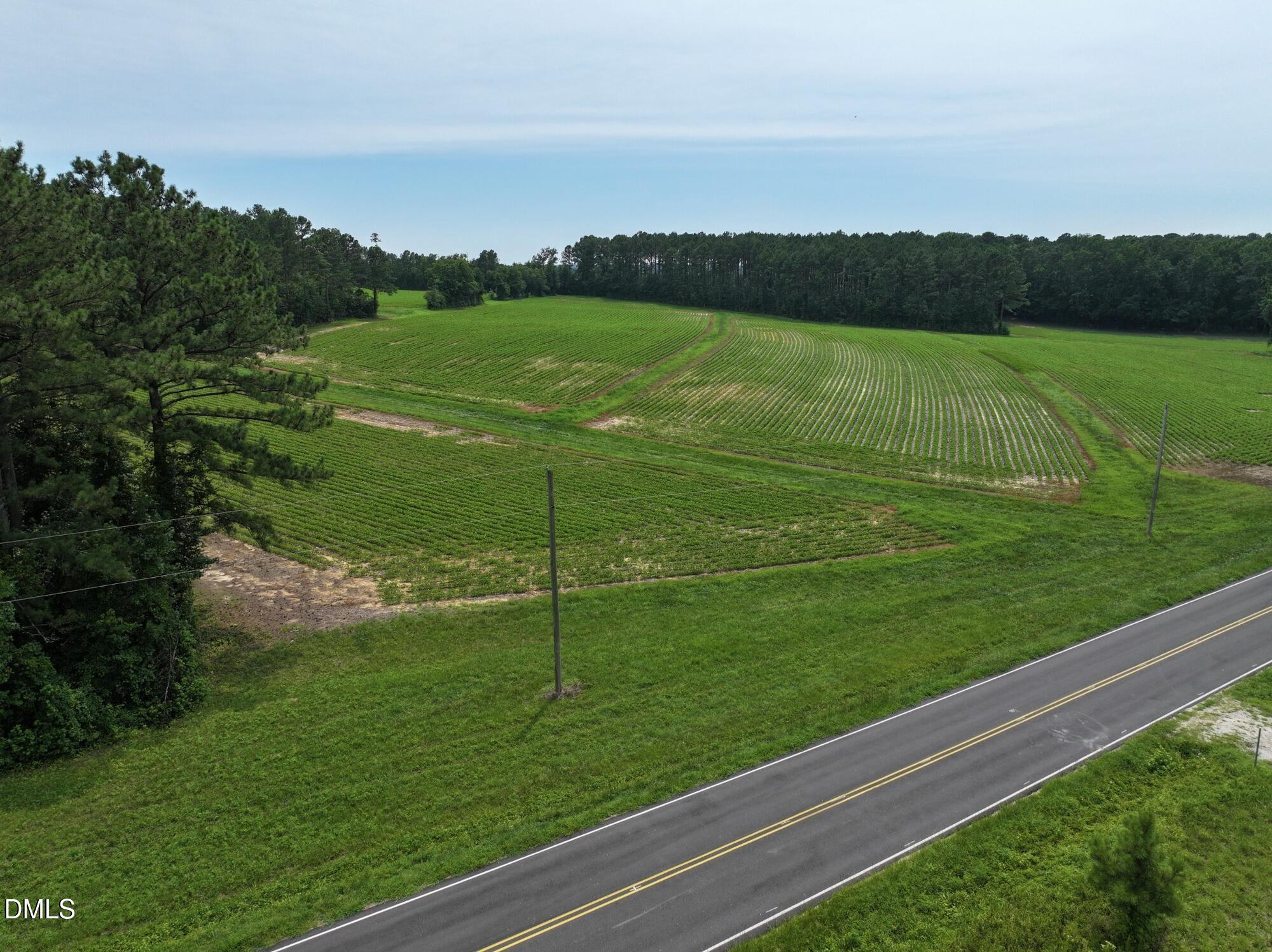 Lot 2 Claude Lewis Road Bailey, NC 27807 - Photo 2 of 18 1 (14)_MLS