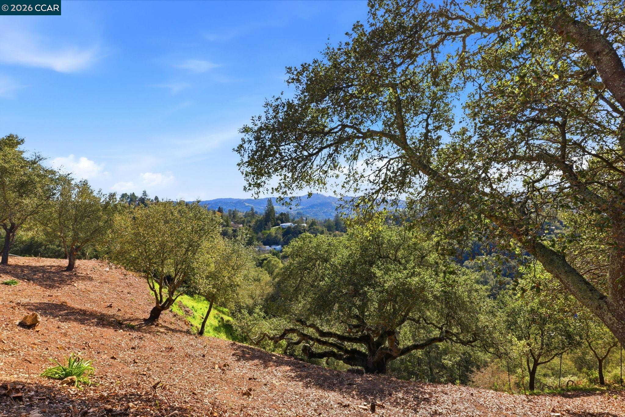 128 Diablo View Drive Orinda, CA 94563 - Photo 47 of 56