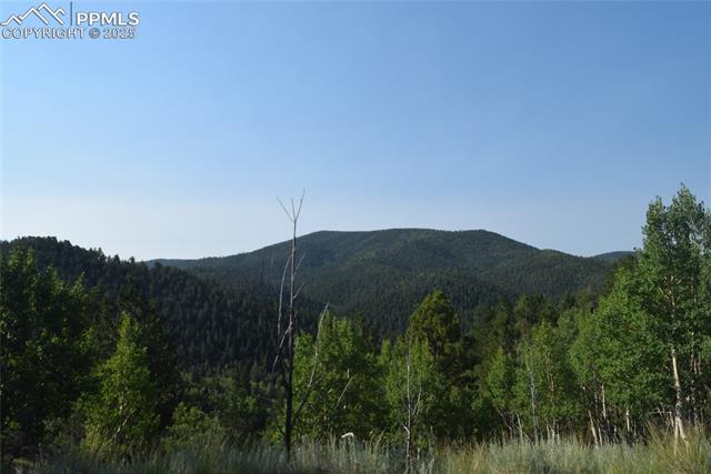 80 Spur Road Divide, CO 80814 - Photo 45 of 48 View of mountain backdrop featuring a heavily wooded area