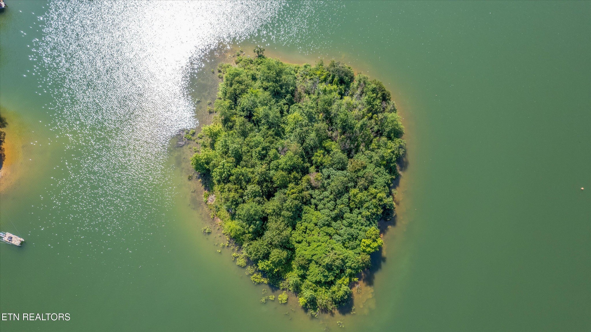 1175 Cardinal Cove Rutledge, TN 37861 - Photo 36 of 41