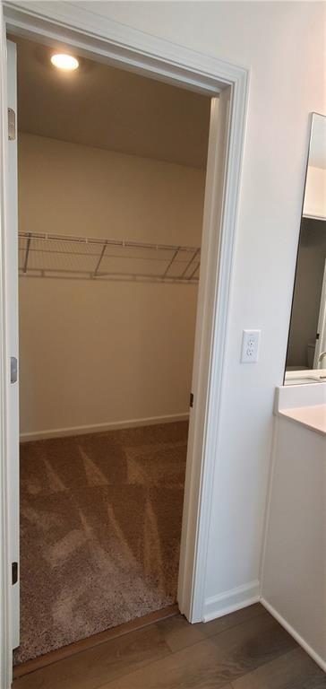 334 Silverleaf Trail Bethlehem, GA 30620 - Photo 20 of 30 a view of closet