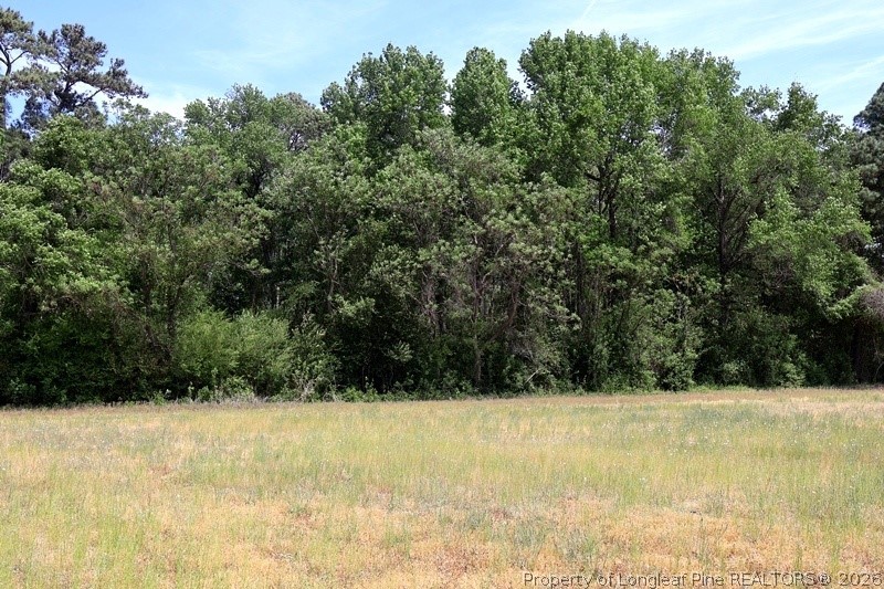Tbd North Duffie Road Red Springs, NC 28377 - Photo 21 of 24