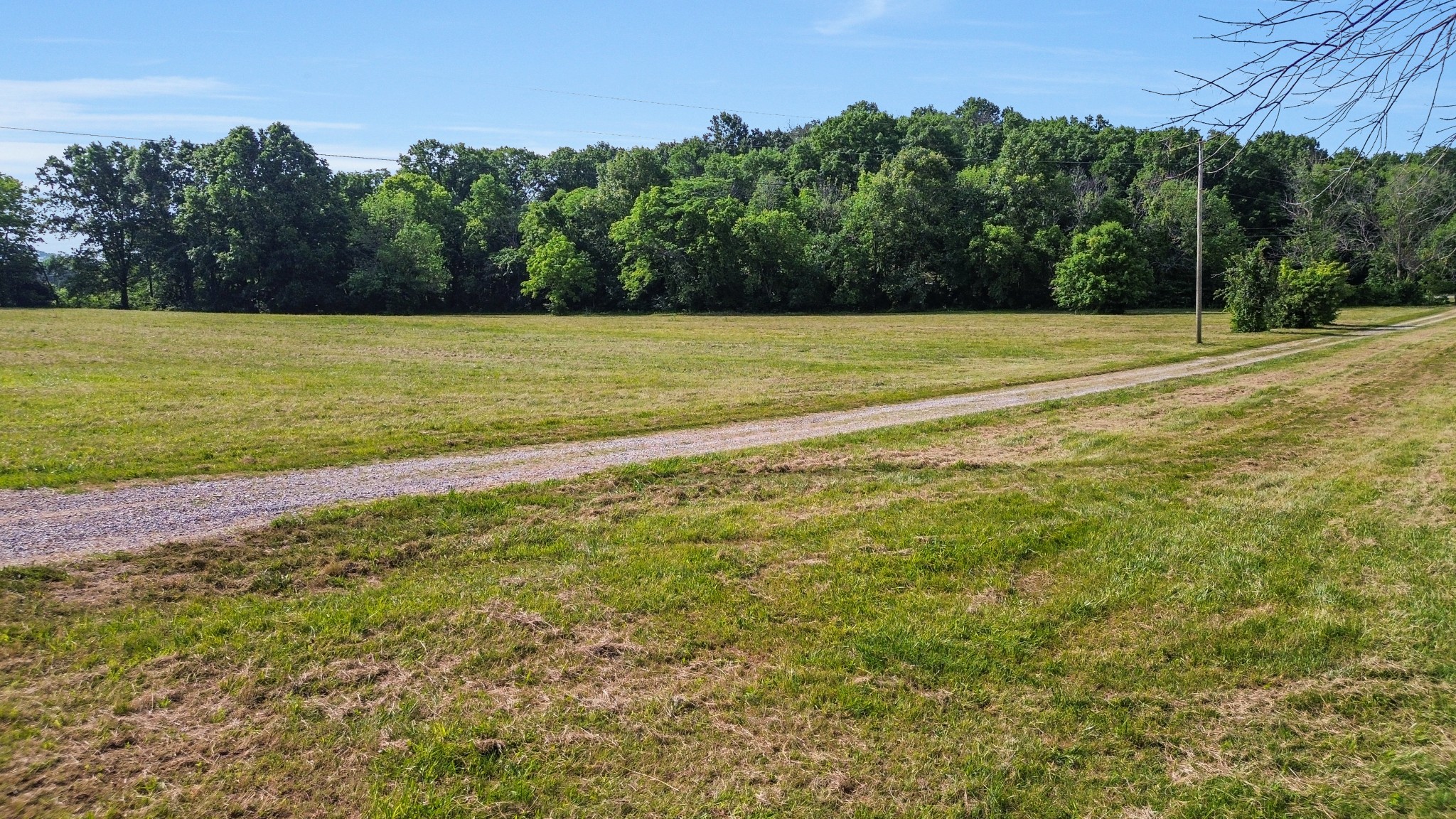 1896 West Harpeth Road Franklin, TN 37064 - Photo 18 of 24 a view of a field with an trees in the background