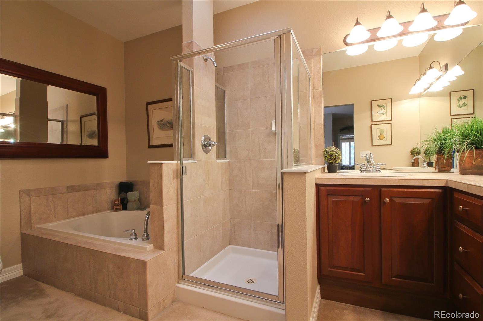 8870 Edinburgh Circle Highlands Ranch, CO 80129 - Photo 26 of 34 Gallery Image 26