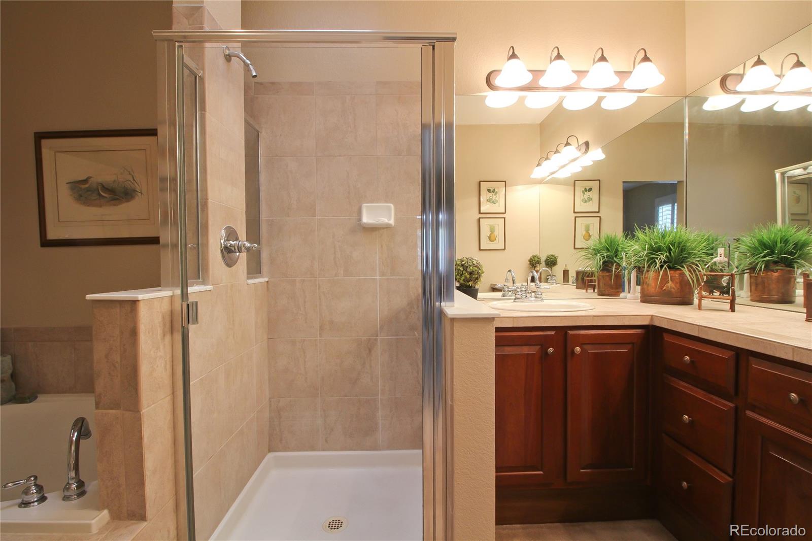 8870 Edinburgh Circle Highlands Ranch, CO 80129 - Photo 27 of 34 Gallery Image 27