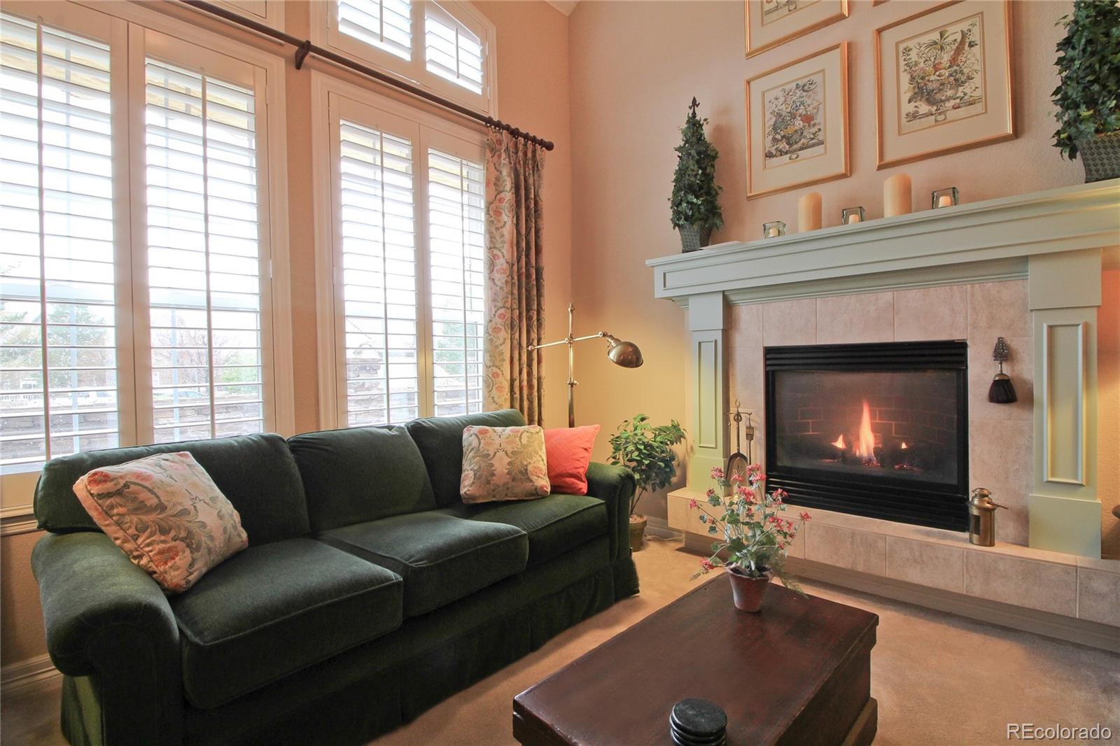 8870 Edinburgh Circle Highlands Ranch, CO 80129 - Photo 8 of 34 Gallery Image 8