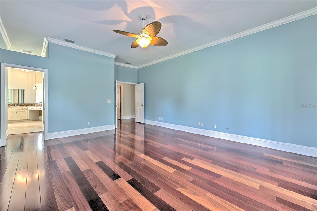 5207 Merion Road Valrico, FL 33596 - Photo 13 of 100 Gallery Image 13