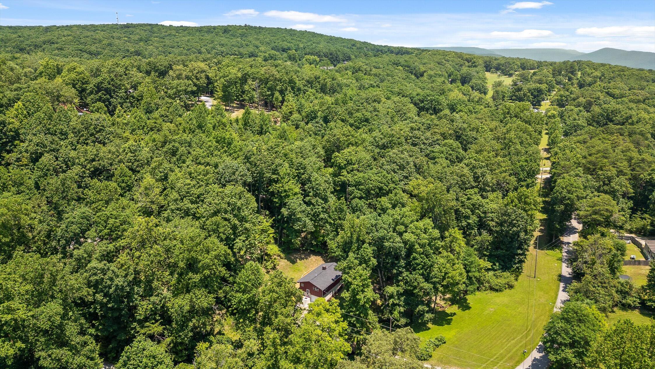 16209 Beck Road Sale Creek, TN 37373 - Photo 2 of 42 Aerial View