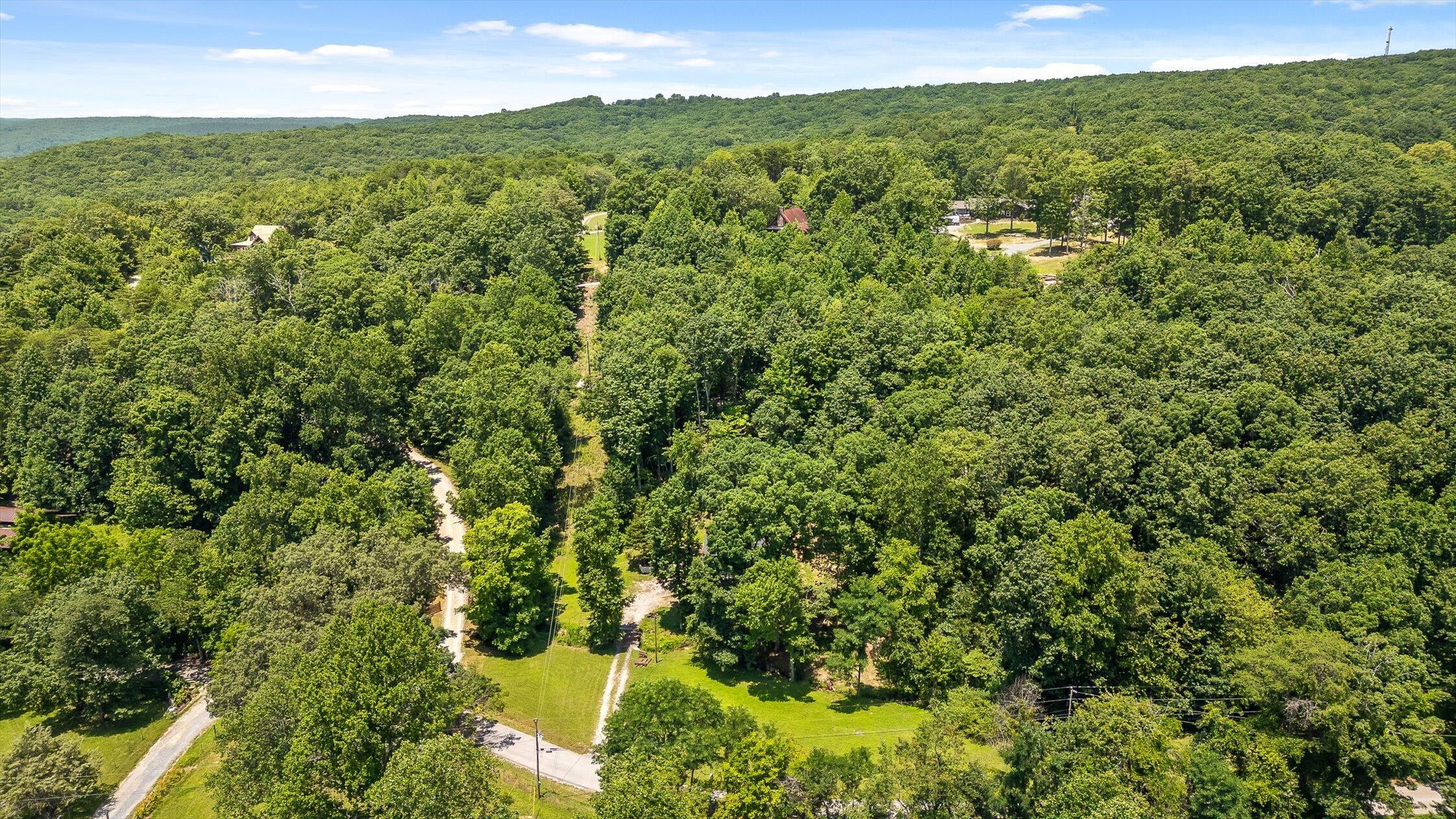 16209 Beck Road Sale Creek, TN 37373 - Photo 3 of 42 Aerial View