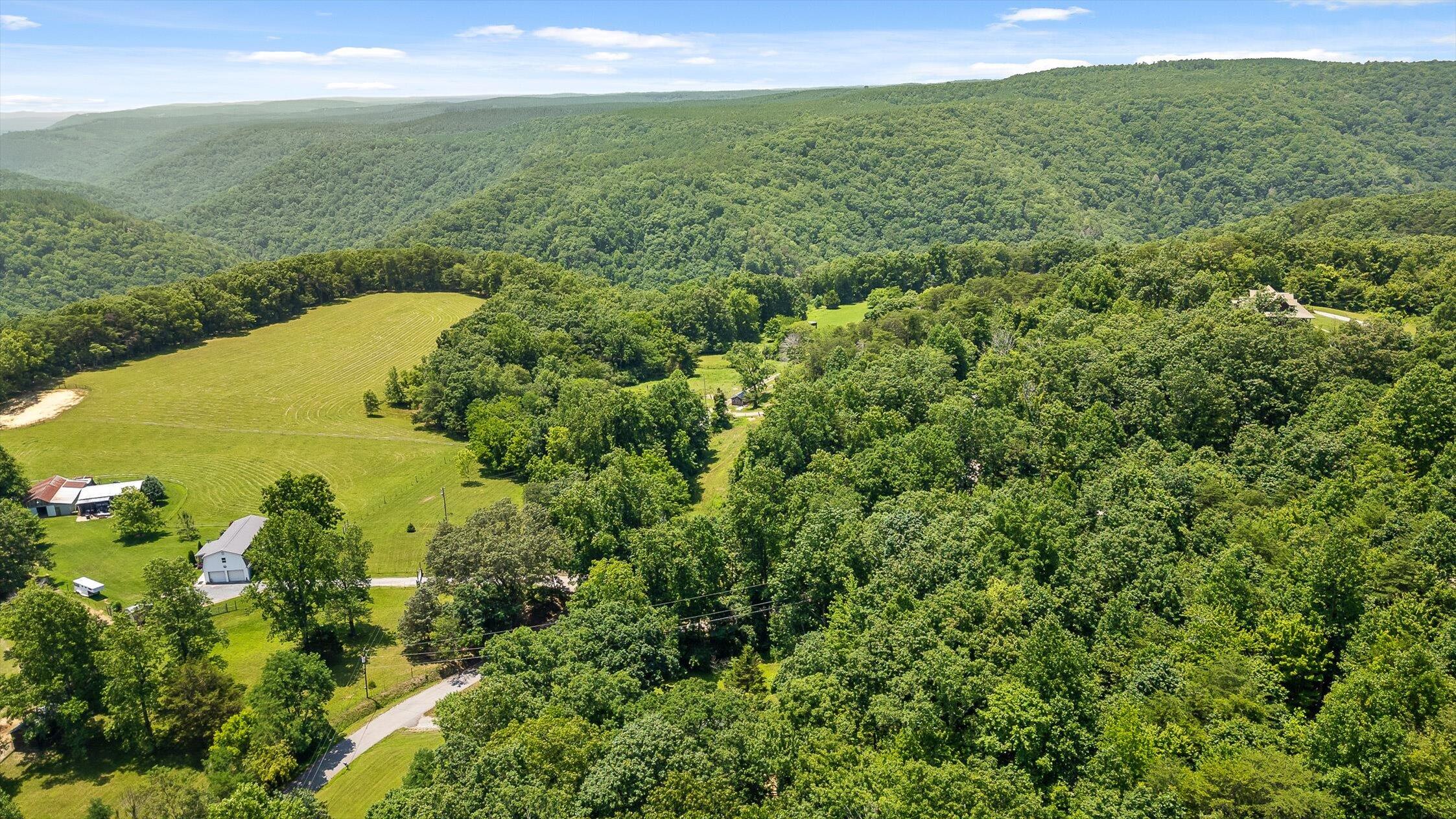 16209 Beck Road Sale Creek, TN 37373 - Photo 5 of 42 Aerial View