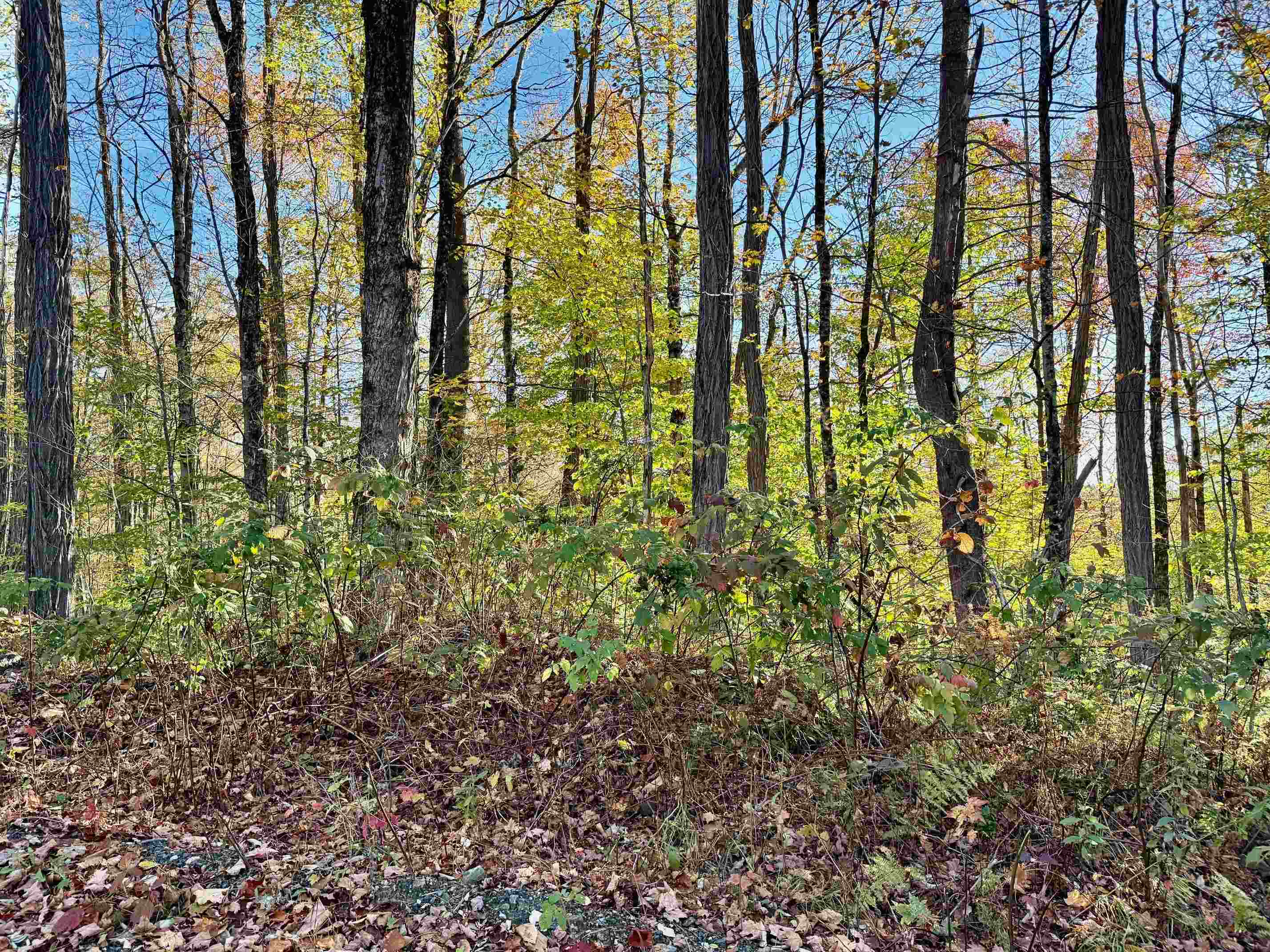 0 Townshend Dam Road Wardsboro, VT 05355 - Photo 5 of 8 Gallery Image 5