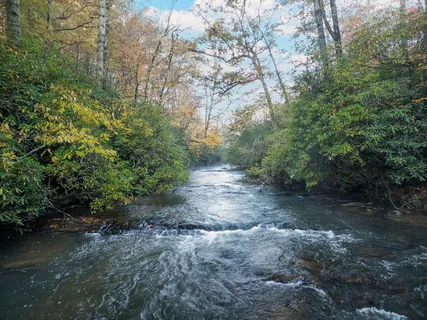 $1,599,000 | 456 Whispering Hill Drive, Cherry Log, GA 30522