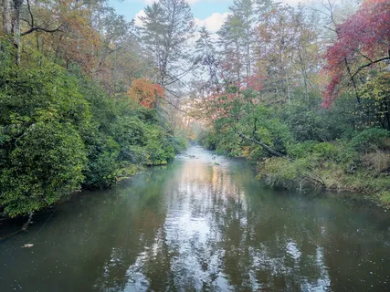 $1,599,000 | 456 Whispering Hill Drive, Cherry Log, GA 30522