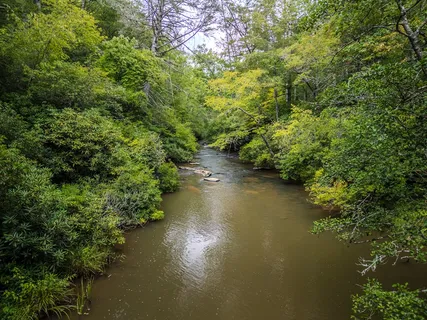 $1,599,000 | 456 Whispering Hill Drive, Cherry Log, GA 30522