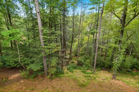 $1,599,000 | 456 Whispering Hill Drive, Cherry Log, GA 30522