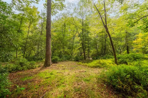 $1,599,000 | 456 Whispering Hill Drive, Cherry Log, GA 30522