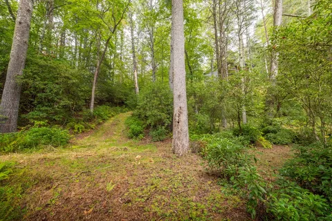 $1,599,000 | 456 Whispering Hill Drive, Cherry Log, GA 30522