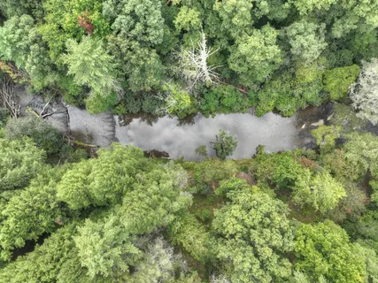 $1,599,000 | 456 Whispering Hill Drive, Cherry Log, GA 30522