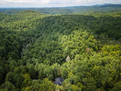 $1,599,000 | 456 Whispering Hill Drive, Cherry Log, GA 30522