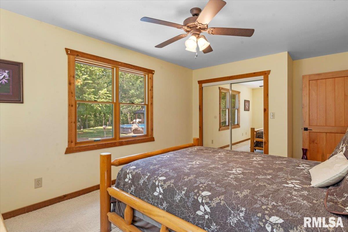 3880 Moose Cry Road Auburn, IL 62615 - Photo 33 of 74