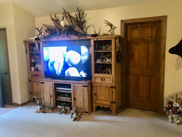 36 Kalyn Road Huntsville, TX 77340 - Photo 12 of 27