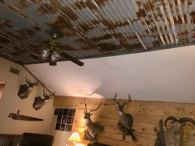 36 Kalyn Road Huntsville, TX 77340 - Photo 16 of 27