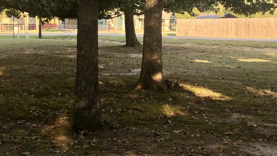 36 Kalyn Road Huntsville, TX 77340 - Photo 5 of 27