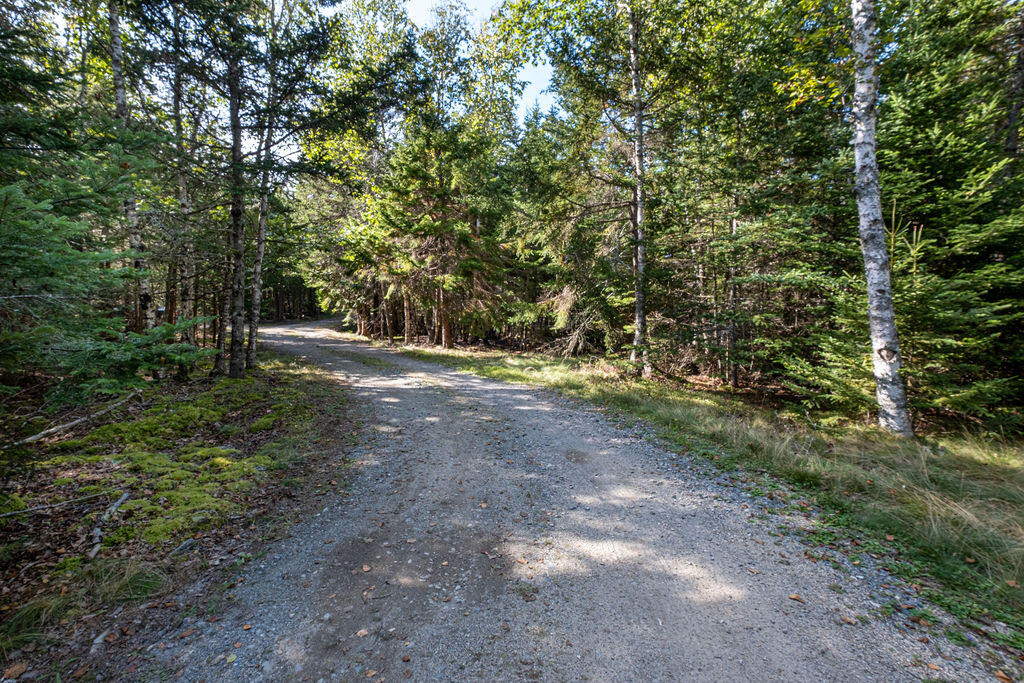 263 Eggemoggin Road Deer Isle, ME 04650 - Photo 52 of 59 LaRoccaLane-50
