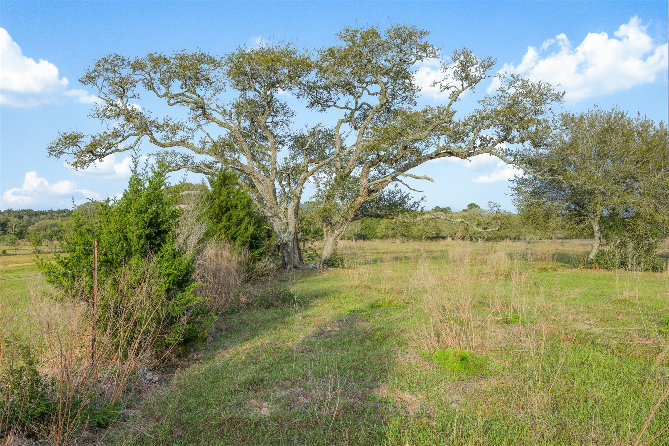 1017 New Ulm Road Cat Spring, TX 78933 - Photo 8 of 25