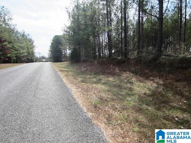 Mckay Road, Unit 10 Lineville, AL 36266 - Photo 2 of 5