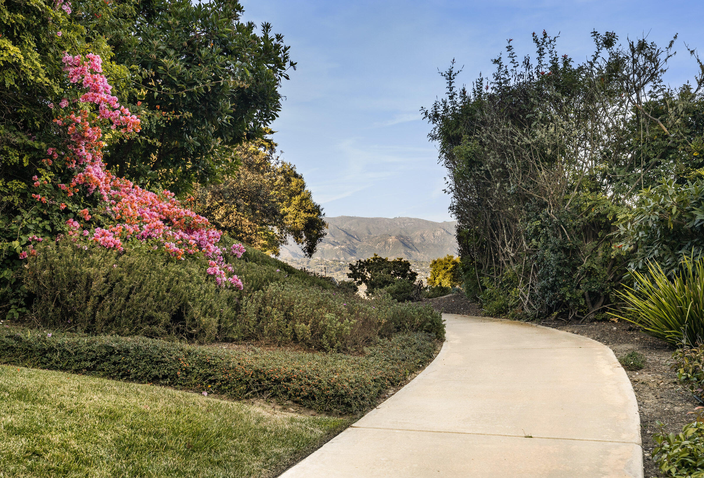 1215 Miracanon Lane Santa Barbara, CA 93109 - Photo 38 of 40 a view of a garden with flowers and trees