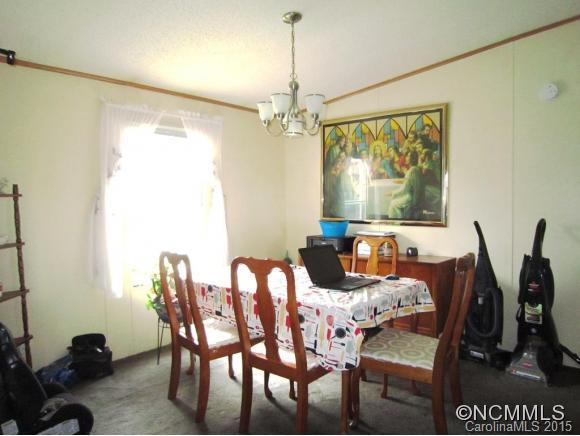 167-173 Gouges Branch Road Leicester, NC 28748 - Photo 3 of 12