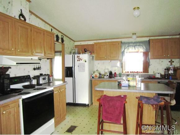 167-173 Gouges Branch Road Leicester, NC 28748 - Photo 4 of 12