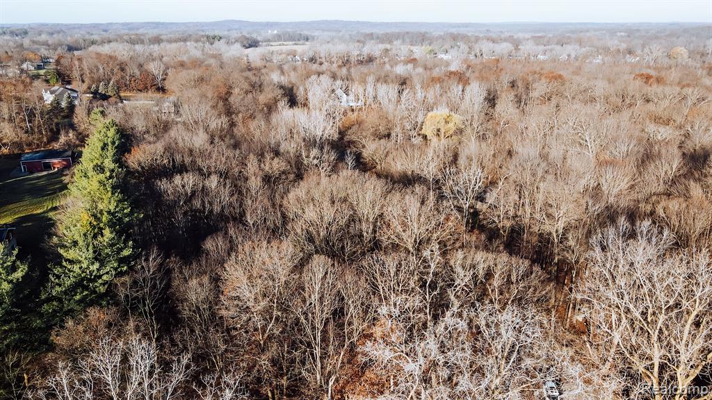 0 Ripple Way White Lake, MI 48383 - Photo 4 of 12