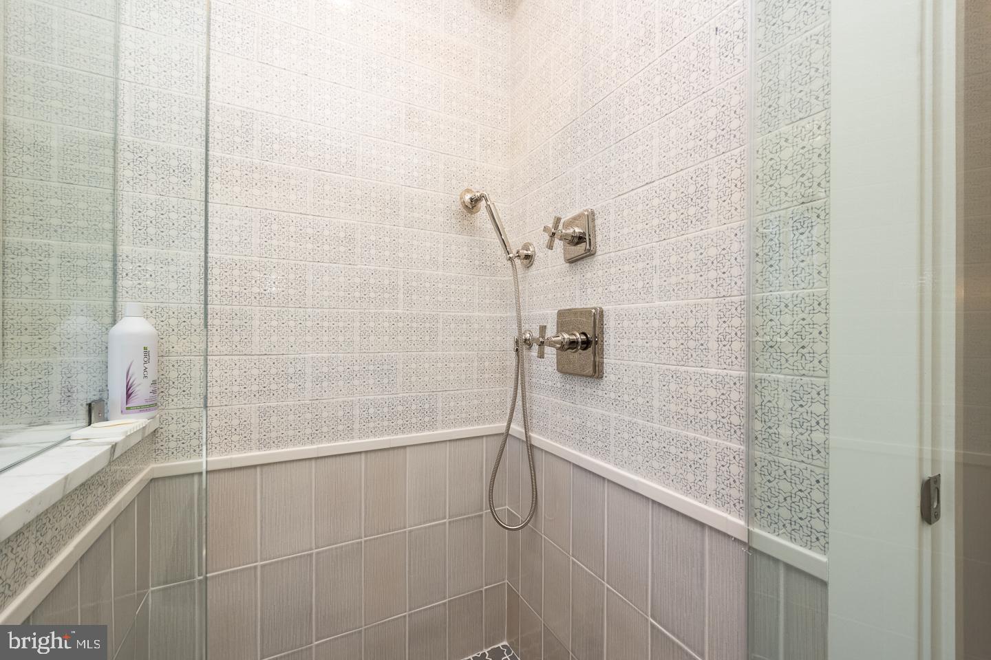 1256 Hollow Road Chester Springs, PA 19425 - Photo 54 of 79 Custom tiled shower