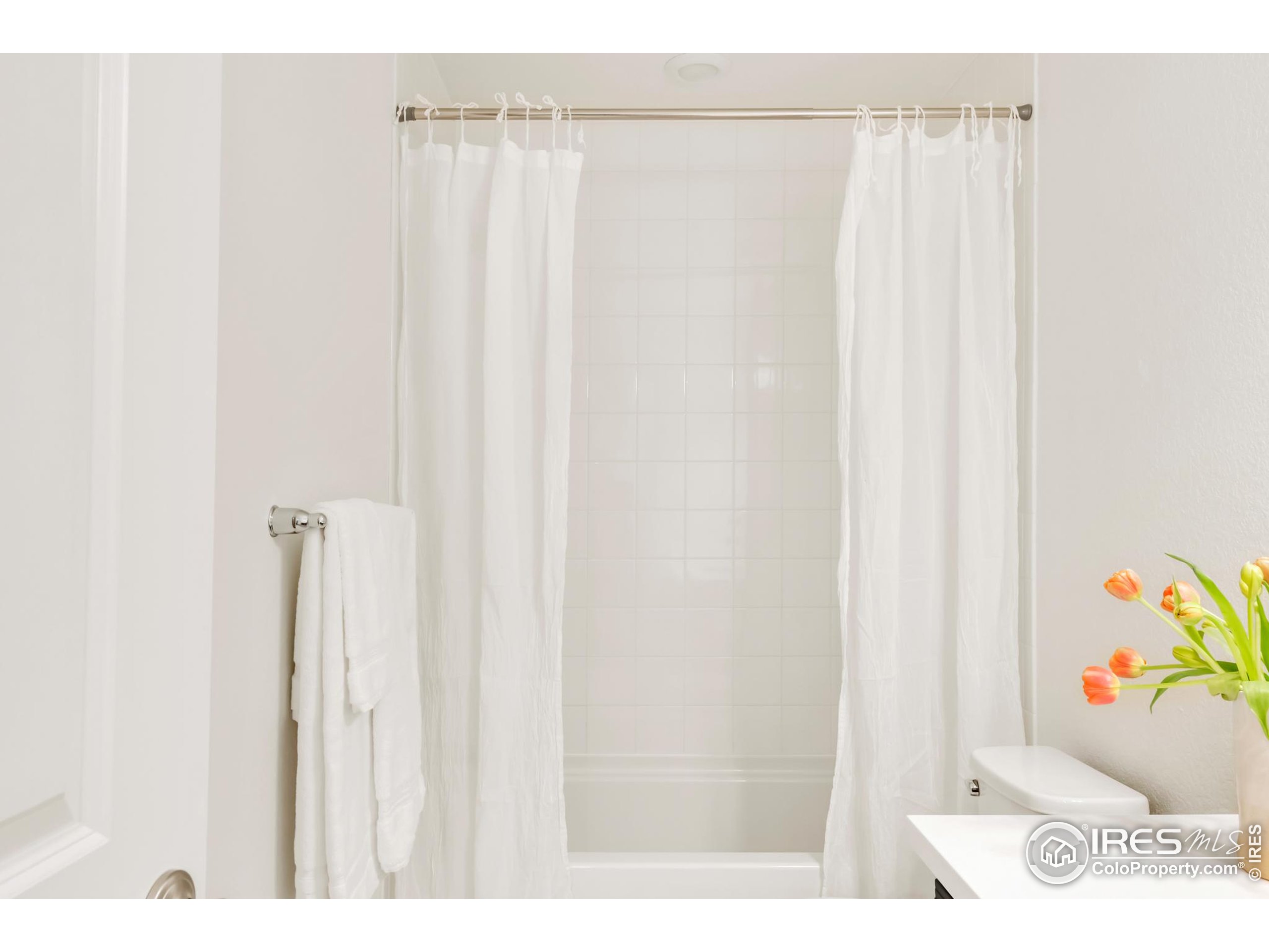 2455 Alpine Street Longmont, CO 80504 - Photo 23 of 30 a picture of a bathroom with a shower curtain