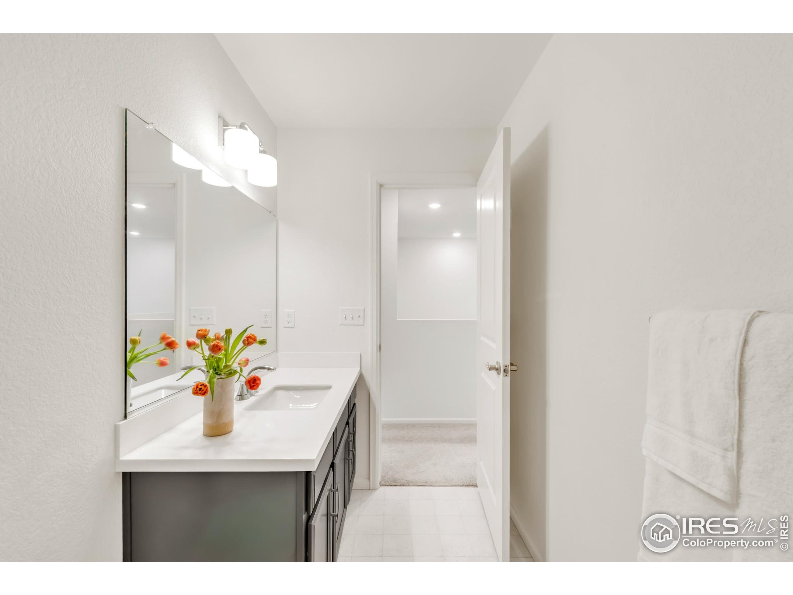 2455 Alpine Street Longmont, CO 80504 - Photo 24 of 30 a bathroom with a sink a mirror and a shower