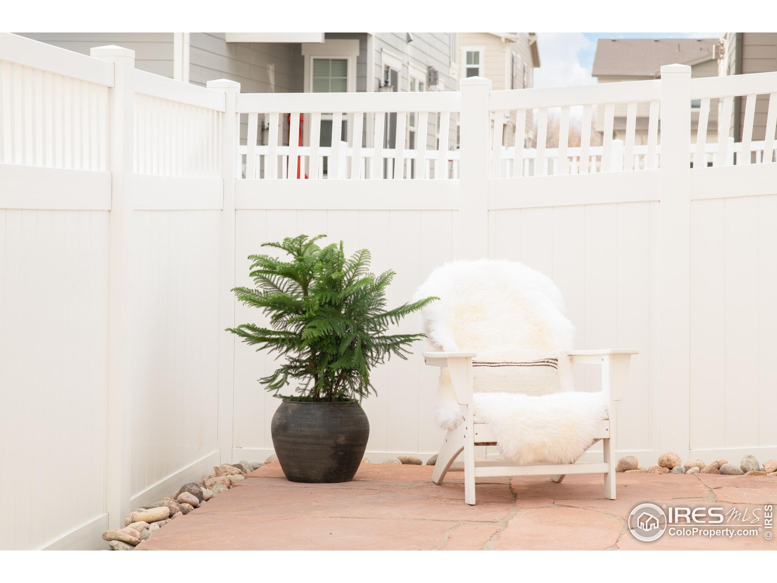 2455 Alpine Street Longmont, CO 80504 - Photo 27 of 30 a view of a vase of flowers sitting on a table