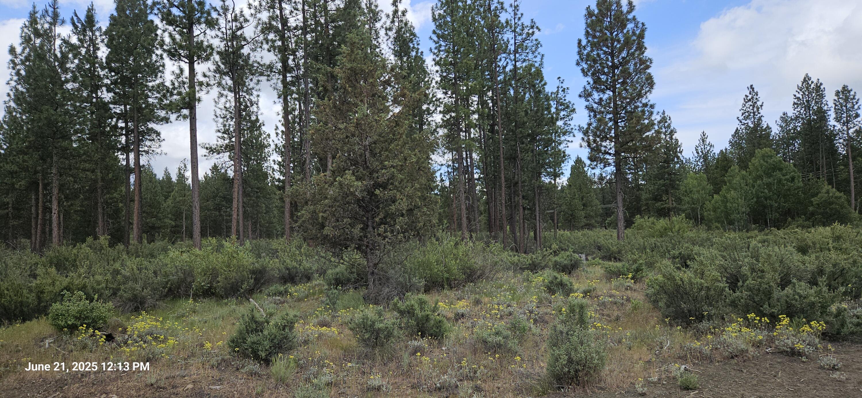 0 Chiloquin Ridge Road, Unit 1 Chiloquin, OR 97624 - Photo 6 of 46 1000019361