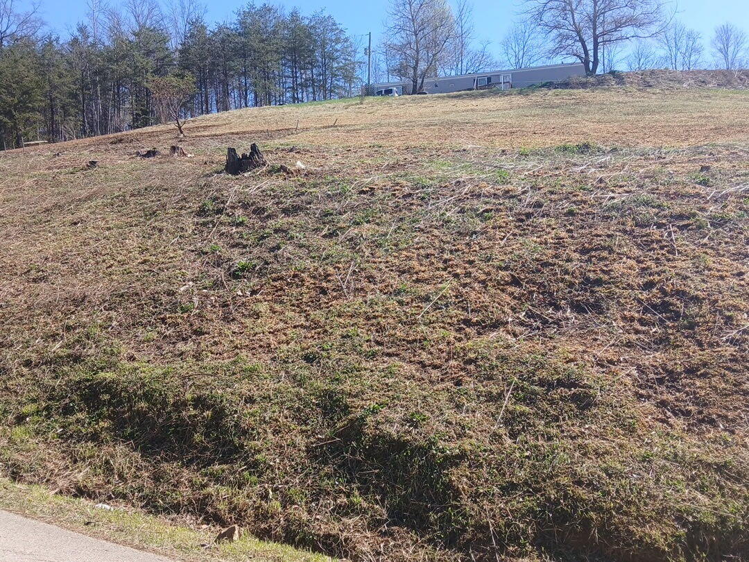 637 Walk Log Branch Road Jackson, KY 41339 - Photo 6 of 9 5023289632660700882
