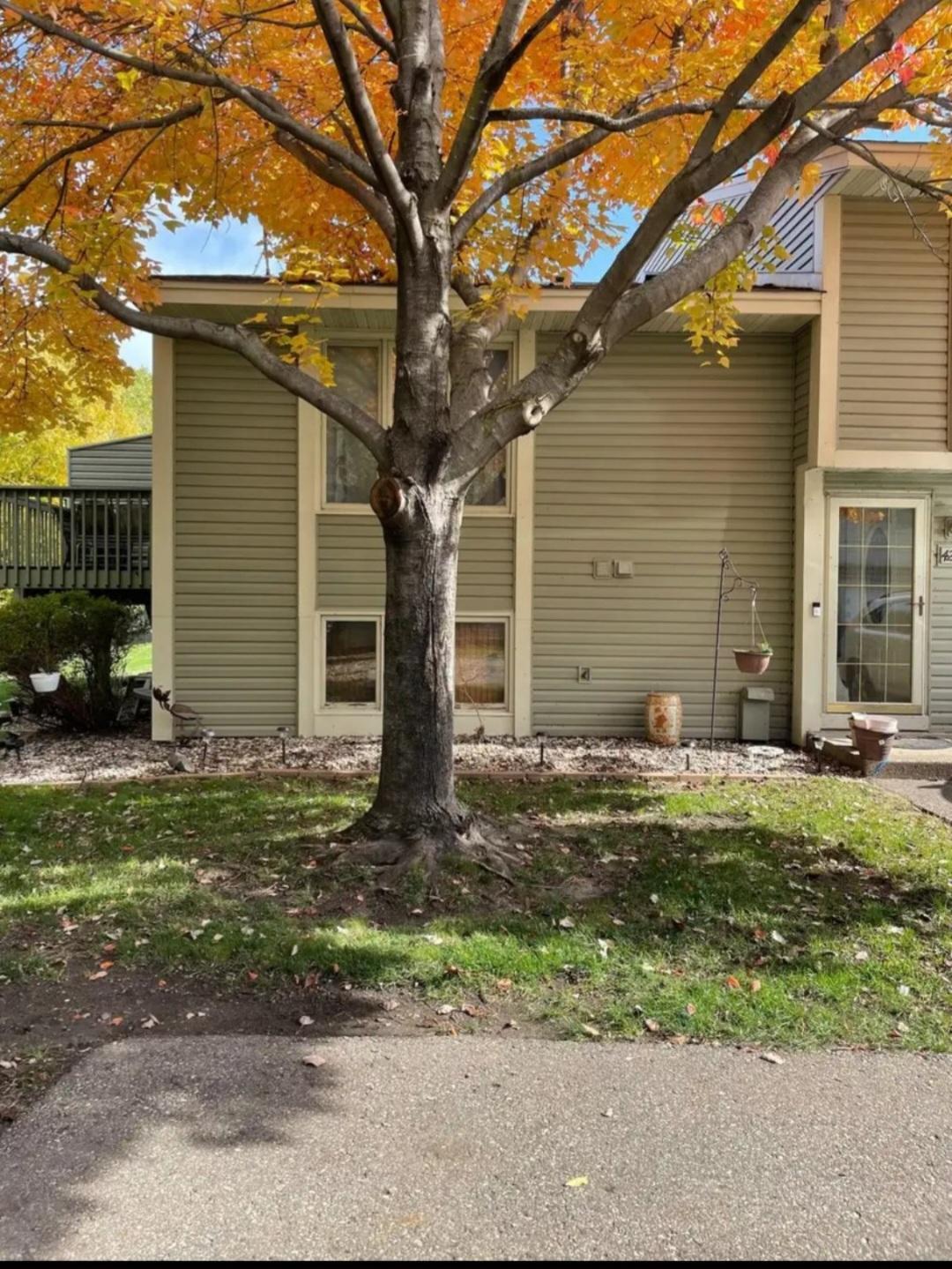 4228 124th Street Savage, MN 55378 - Photo 1 of 1