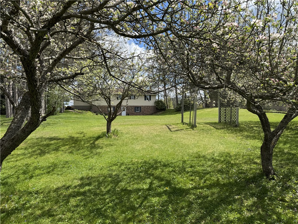 109 Afton Lake Road Afton, NY 13730 - Photo 9 of 49