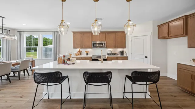 $428,990 | 455 Cadbury Loop, Summerville, SC 29486