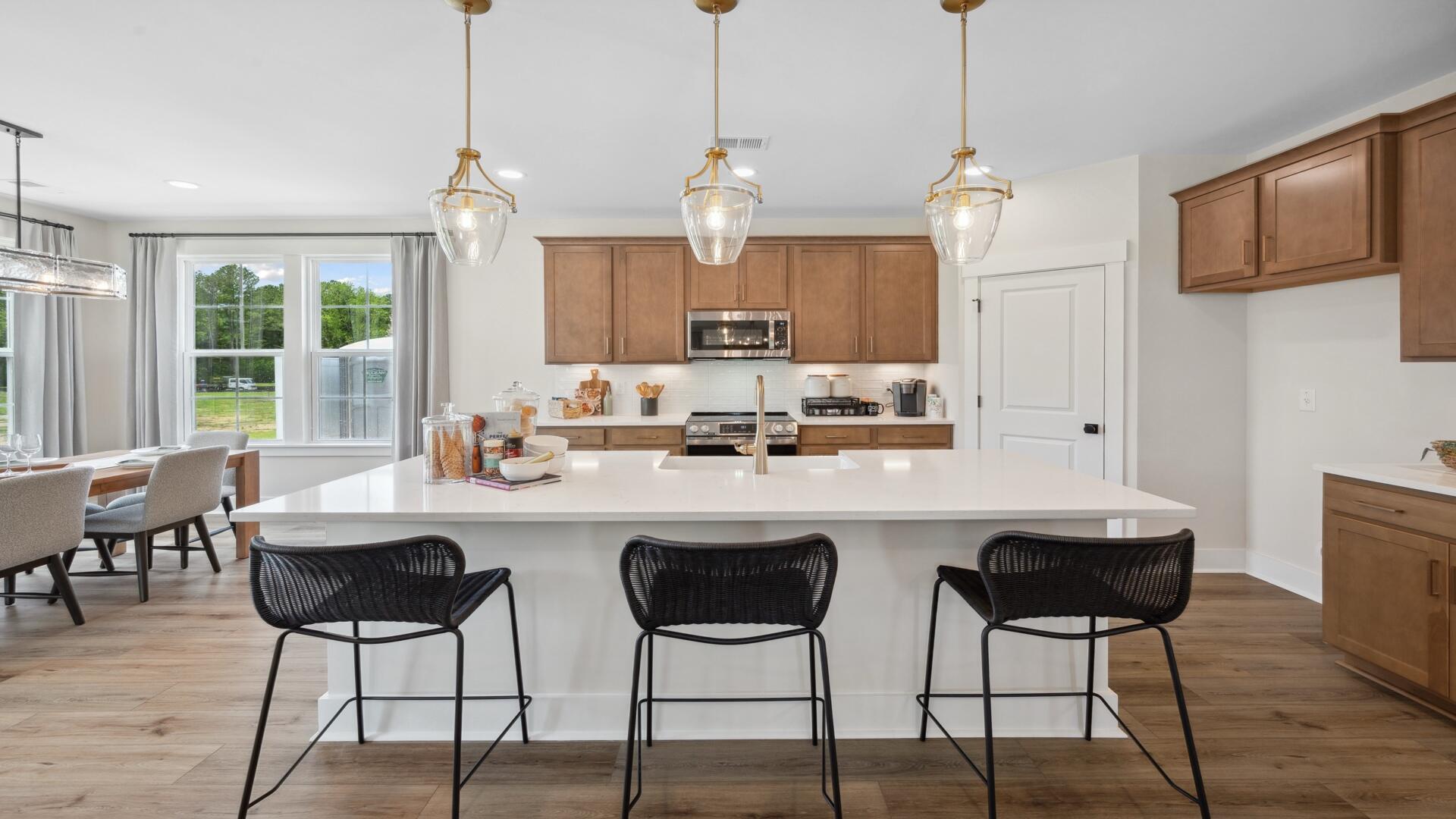 455 Cadbury Loop Summerville, SC 29486 - Photo 13 of 38 Kitchen