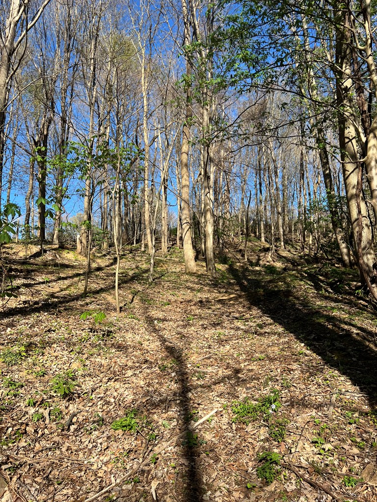 127.5 East River Mountain Road, Unit 22 Narrows, VA 24124 - Photo 28 of 39 Gallery Image 28