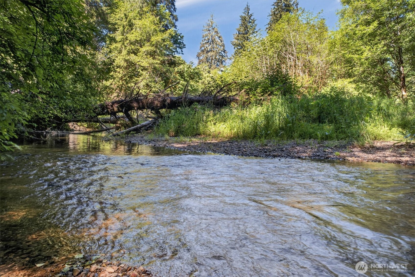 344 Hull Creek Road Grays River, WA 98621 - Photo 6 of 29