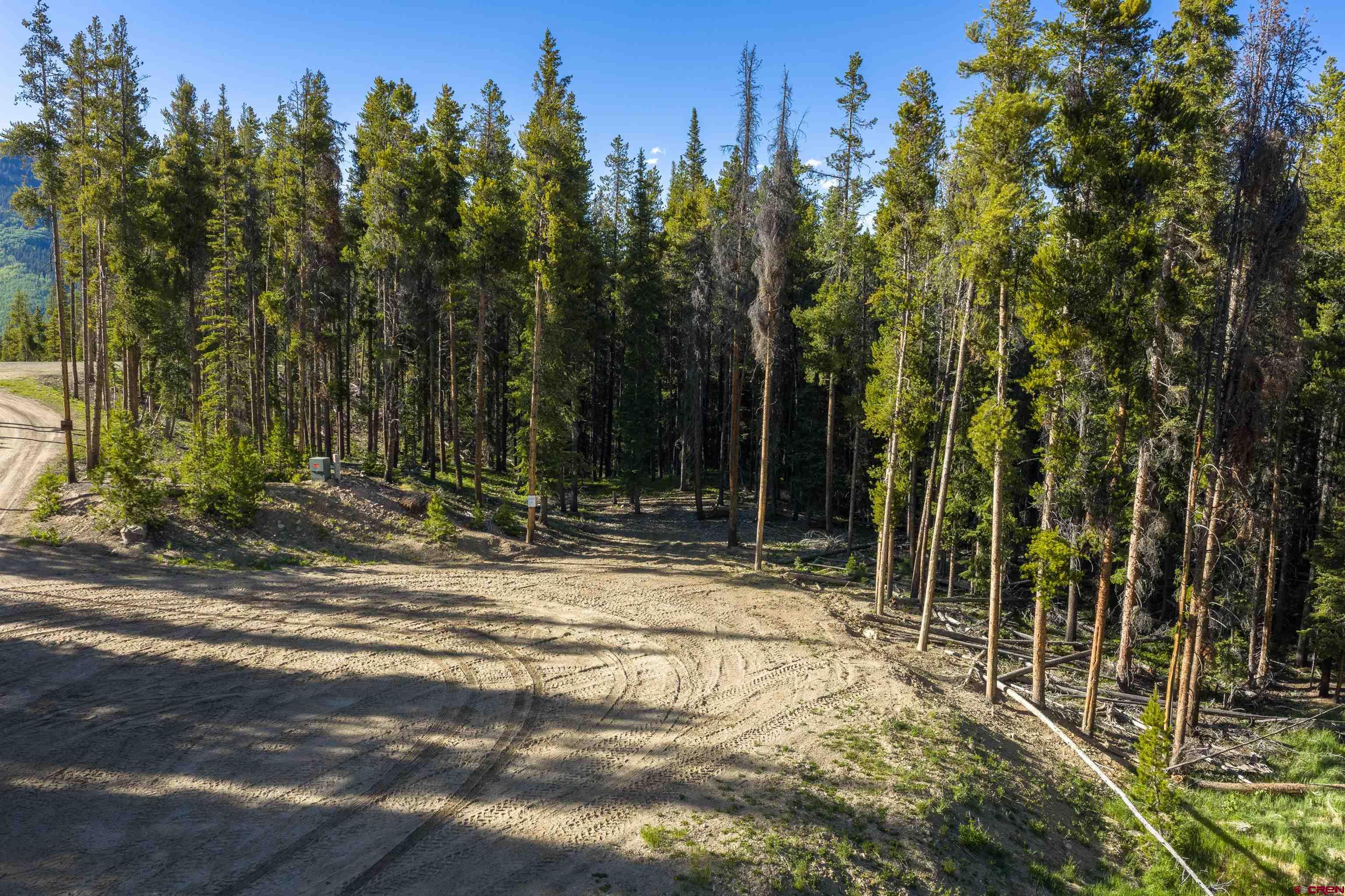 5350 Wildcat Trail Crested Butte, CO 81224 - Photo 7 of 20 a view of a house with a yard