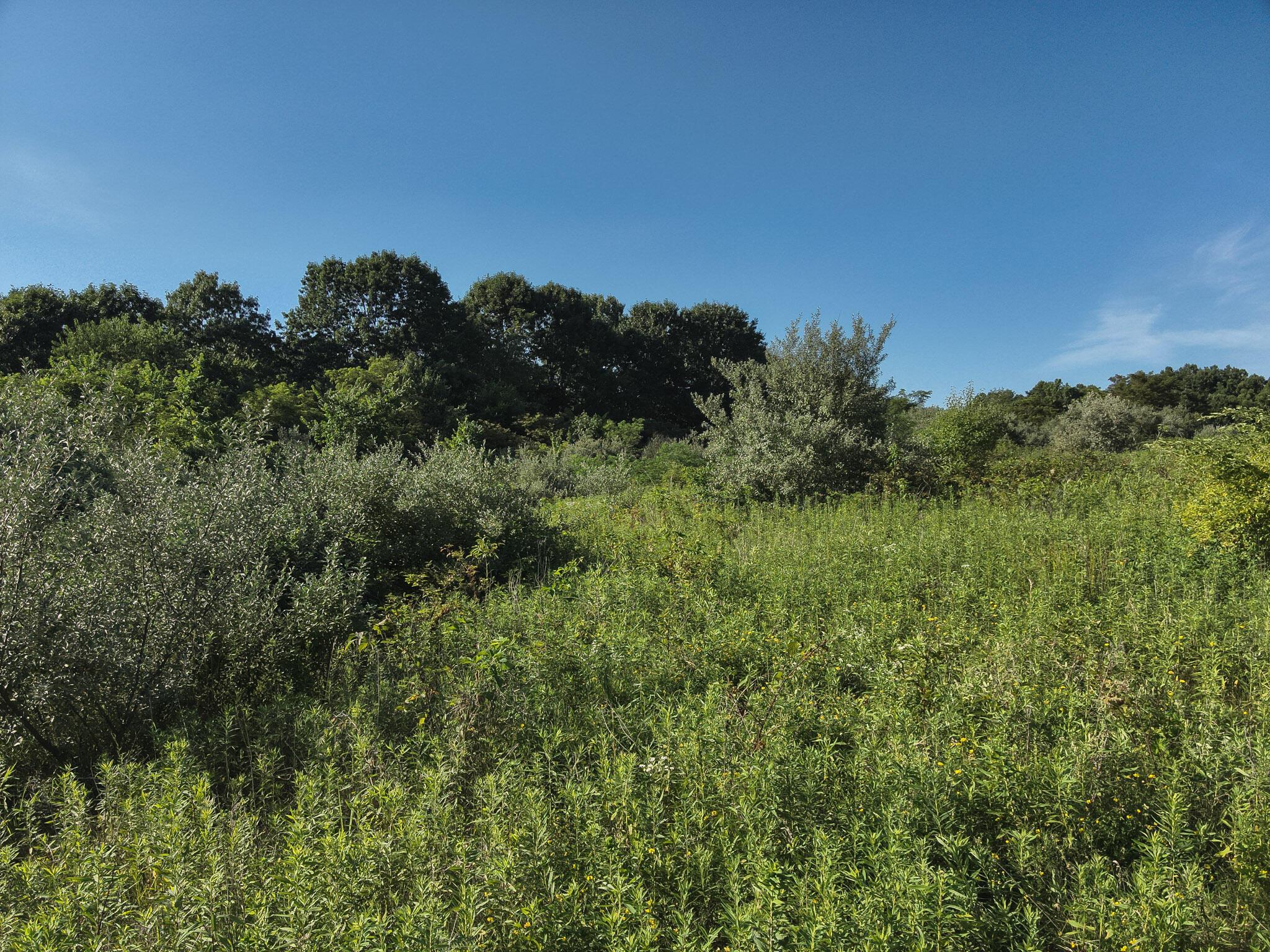 0 South Side Sand Ridge Road Albany, OH 45710 - Photo 22 of 90 24. Field