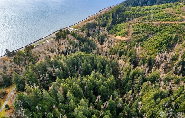 a view of beach and an ocean